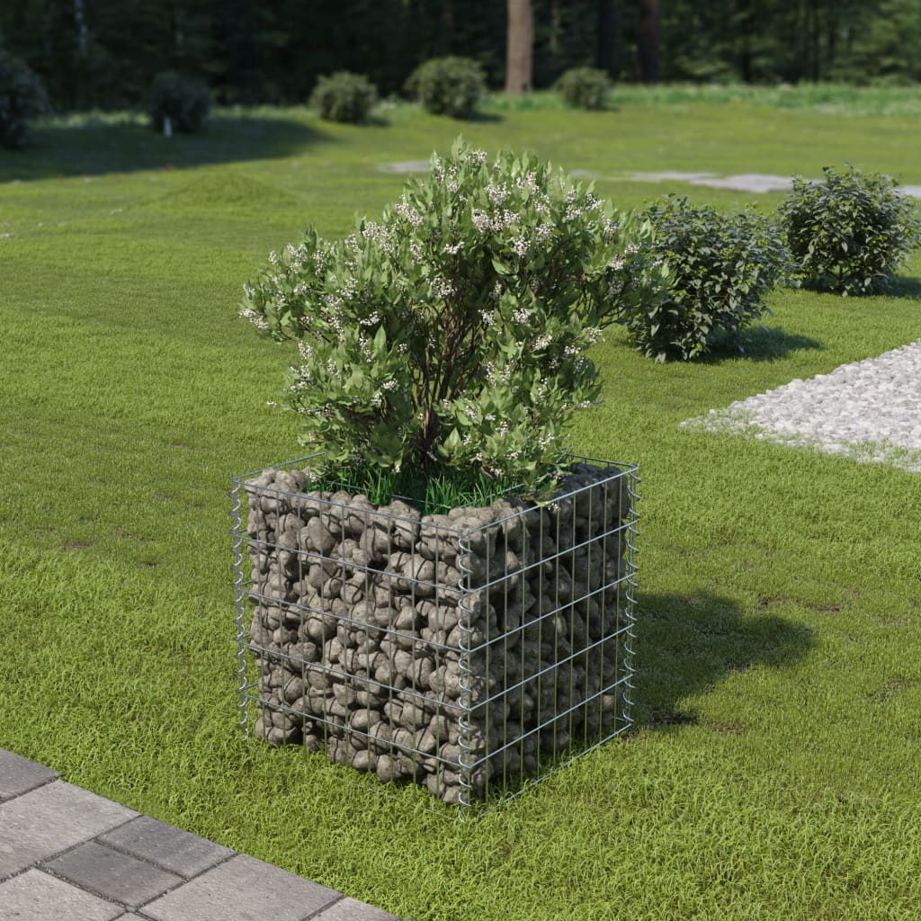 Vidaxl Gabion Planter hævede 50x50x50 cm galvaniseret stål