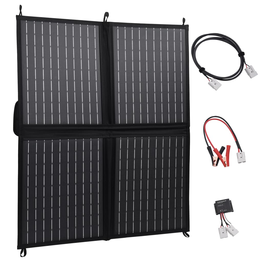 Chargeur de panneau solaire Vidaxl pliable 80 W 12 V