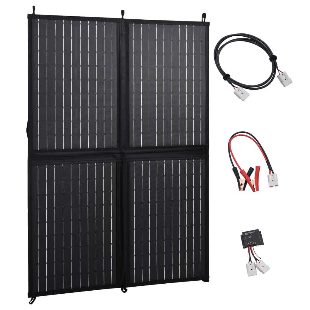 Chargeur de panneau solaire vidaxl pliable 100 W 12 V