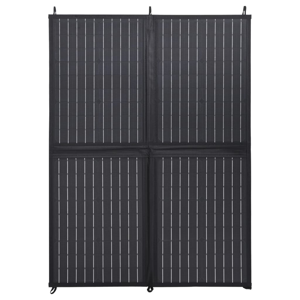 Vidaxl Pannello solare Caricatore pieghevole 100 W 12 V