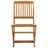Vidaxl tuinstoelen inklapbaar 2 st massief acaciahout