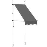 Vidaxl luifel handmatig uittrekbaar 100 cm antraciet