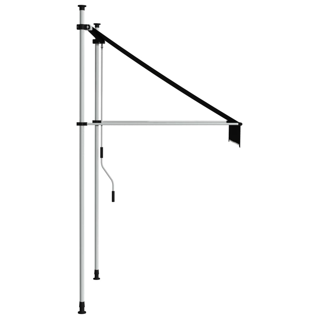 Vidaxl Luifel manualmente extensible 100 cm de antracita