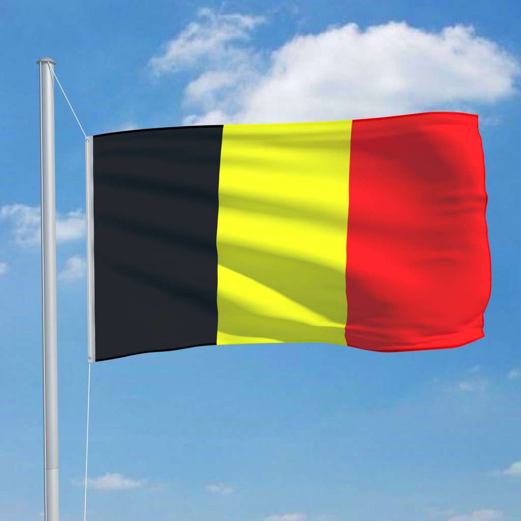 Vidaxl flagga 90x150 cm