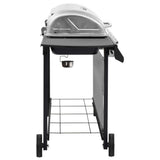 Vidaxl Gasgrill mit 6 Brennern Schwarz und Silber gefärbt