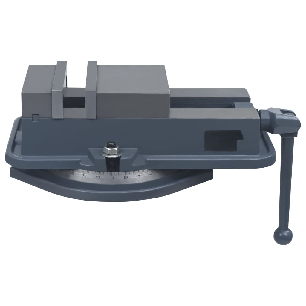 Vidaxl Vice Rotable 160 mm iz litega železa