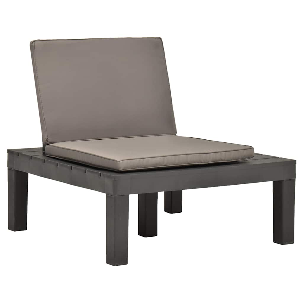 Vidaxl loungestoelen 2 st met kussens kunststof antraciet