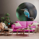 Wallart Wallart Wallow Circle the Kingfisher 142,5 cm