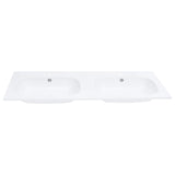 Vidaxl Washbasin construit -in Double 1205x460x145 mm SMC blanc