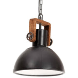 Vidaxl hängande lampa industriell cirka 25 w e27 30 cm svart