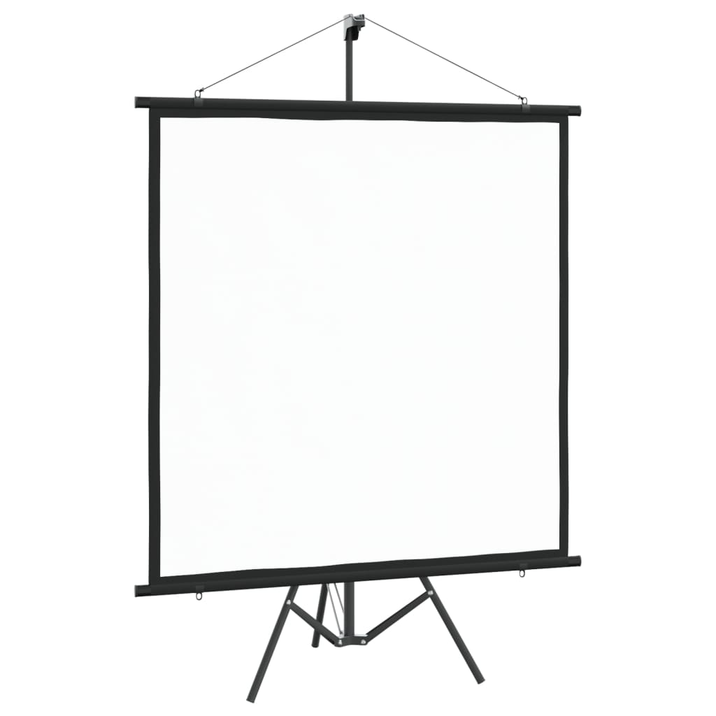 VidaXL Projection screen with tripod 1: 1 67 ''