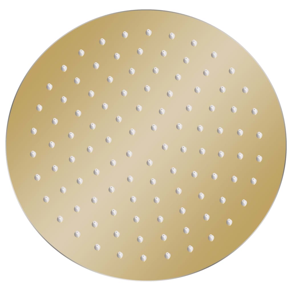 VidaXL Rain shower head Round 25 cm Stainless steel Gold colored