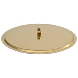 Vidaxl Rain Dochover Head round 50 cm in acciaio inossidabile in oro colorato