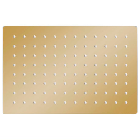 Vidaxl regendouchekop rechthoekig 30x20 cm roestvrij staal goudkleurig