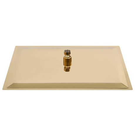 Vidaxl regendouchekop rechthoekig 40x30 cm roestvrij staal goudkleurig