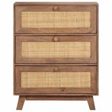 Vidaxl dressoir 61x35x76 cm massief mangohout