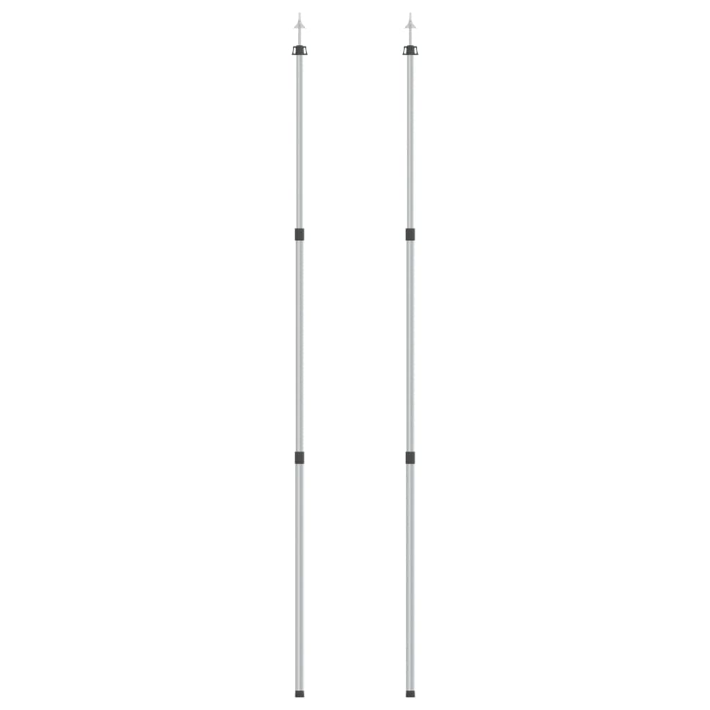 Vidaxl Laifel Sticks 2 PC Telescopic 102-260 cm Aluminium