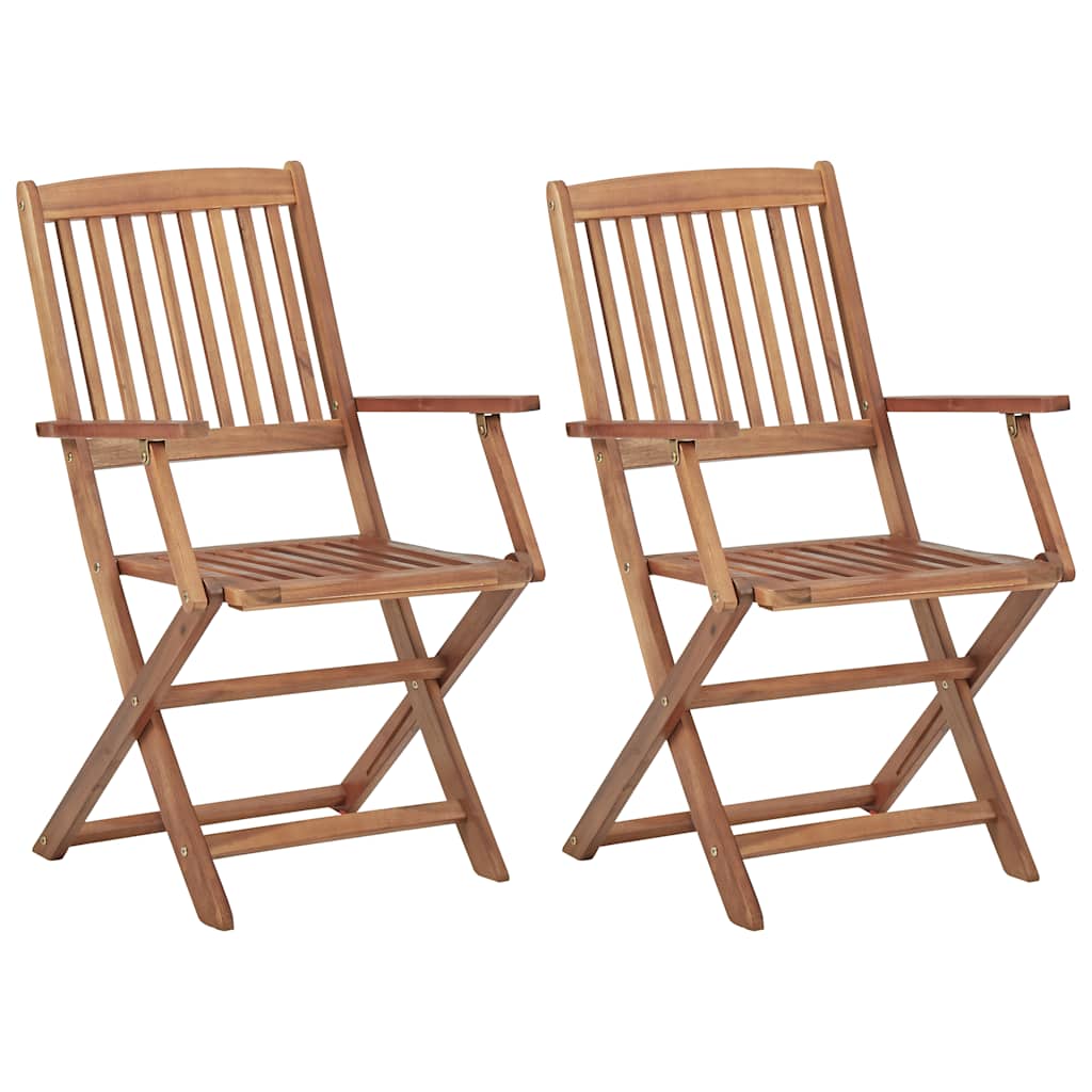 Vidaxl tuinstoelen 2 st inklapbaar massief acaciahout
