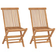 Vidaxl opklapbare stoelen, 2 stuks, massief teakhout