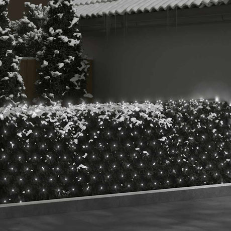 Vidaxl kerstnetverlichting 204 led's binnen en buiten 3x2 m koudwit