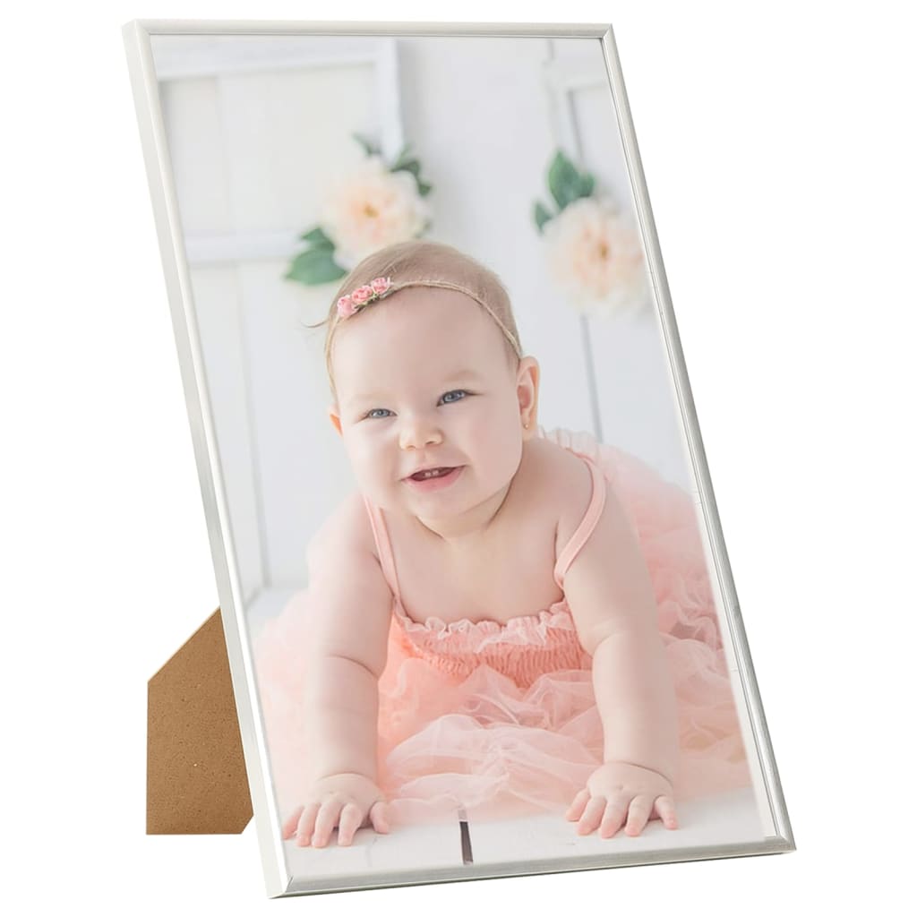 Vidaxl Photo Frames 3 PCS pour le tableau 21x29.7 cm Couleur en argent MDF