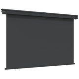 Vidaxl Balcony Schermata 165x250 cm nero