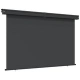 Vidaxl Balcony screen 175x250 cm Black