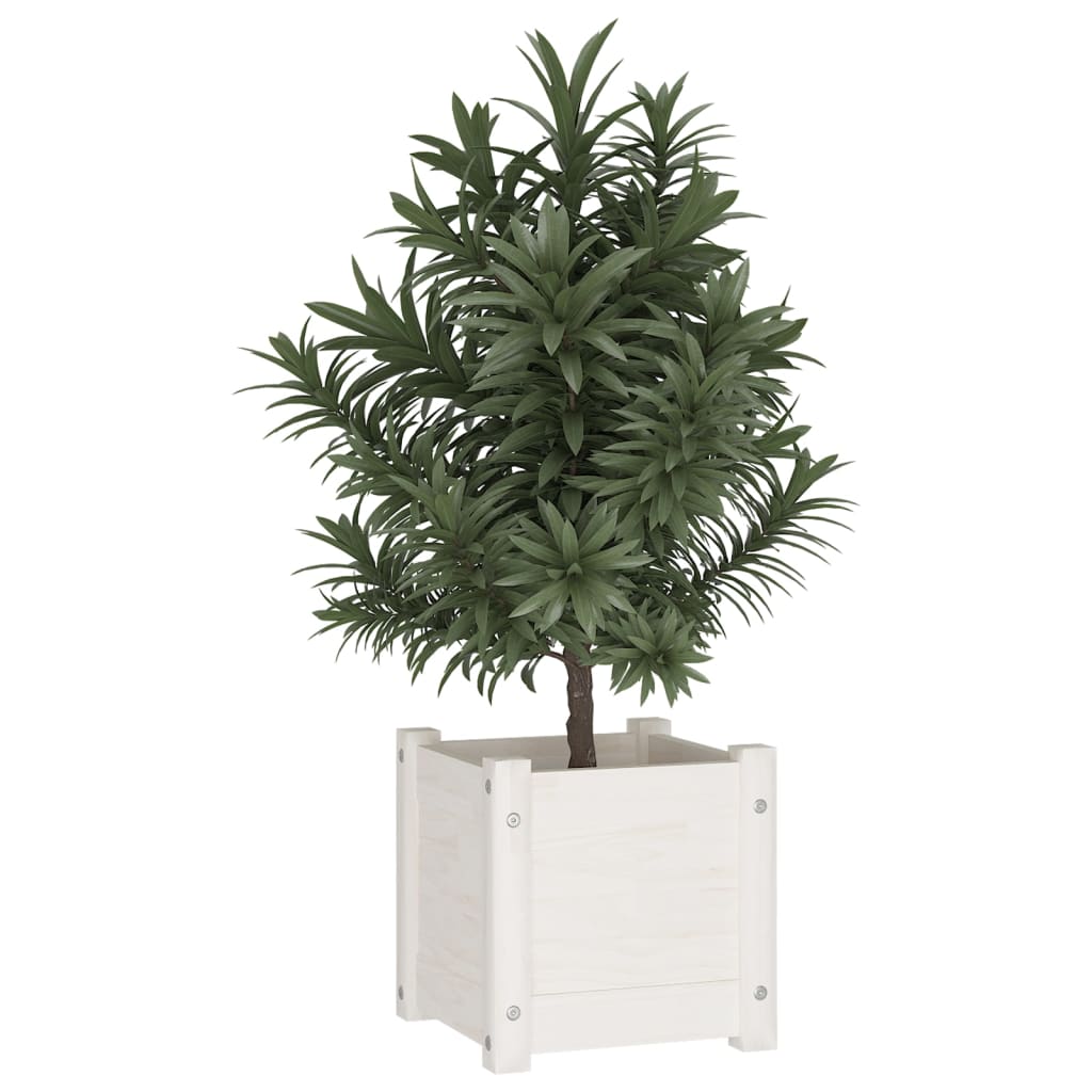 Vidaxl Planters 2 ST 31x31x31 CM Solid Pine White