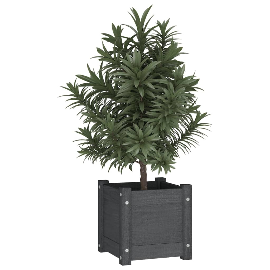 Vidaxl Plantadores 2 PCS 31X31X31 CM Solid Pine Gray