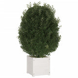 VidaXL Plantenbak 40x40x40 cm massief grenenhout wit
