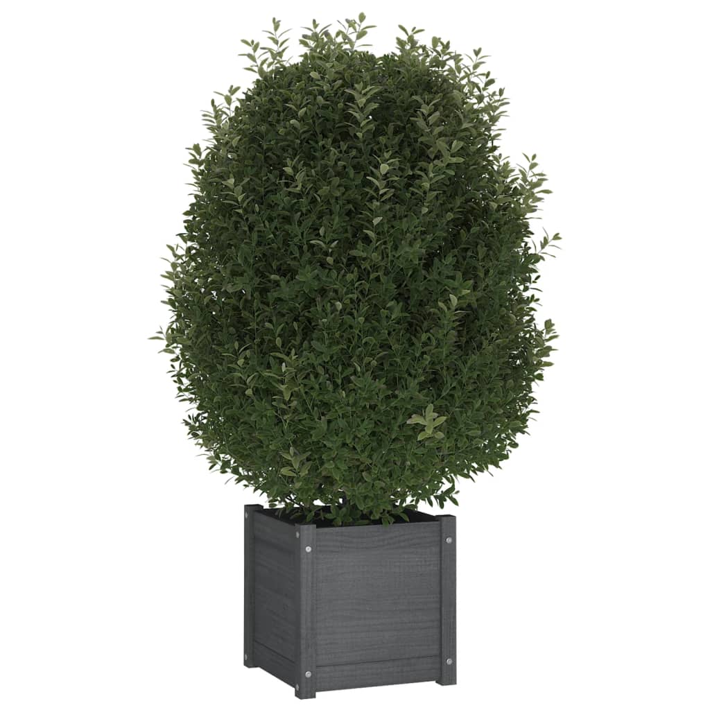 Vidaxl Planters 2 st 40x4xx40 cm fest Péiere gro