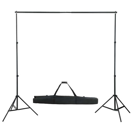 Vidaxl fotostudioset met verlichtingsset en achtergrond