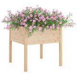 Vidaxl Planters 2 ST 70x70x70 cm Solid pine