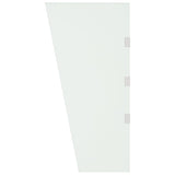 Panneau latéral Vidaxl pour la verrière de porte 50x100 cm Verre durci transparent