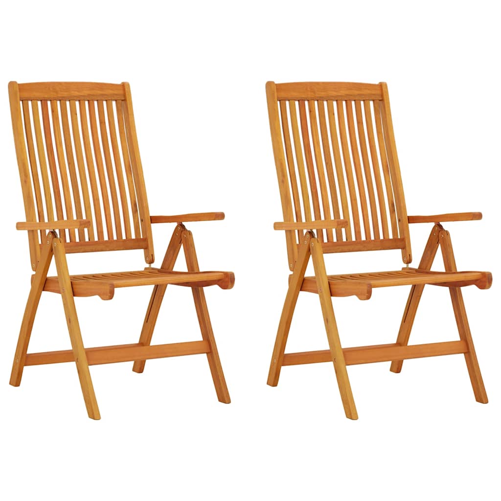 Vidaxl tuinstoelen 2 st inklapbaar massief eucalyptushout