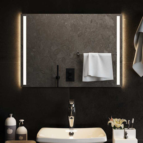Vidaxl badkamerspiegel led 70x50 cm