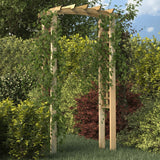 Vidaxl Garden Arch 110x60x210 cm impregnirani trden bor