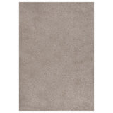 Alfombra Vidaxl SHAGGY PILA alta 160x230 cm beige