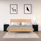Vidaxl nachtkastjes 2 st 50x35x61,5 cm massief grenenhout zwart