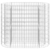 Vidaxl gabion plantenbak verhoogd 120x50x100 cm gegalvaniseerd ijzer