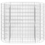 Vidaxl gabion plantenbak verhoogd 120x50x100 cm gegalvaniseerd ijzer