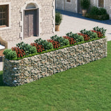 Vidaxl Gabion Fiorter ha raccolto ferro zincato 600x100x100 cm