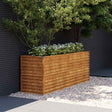 Vidaxl verhoogde tuinbak 196x50x69 cm cortenstaal