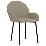 Vidaxl eetkamerstoelen 2 st fluweel lichtgrijs