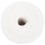 Vidaxl boottouw 6 mm 100 m polypropyleen volwit