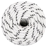 Vidaxl boottouw gevlochten 14 mmx250 m polyester wit