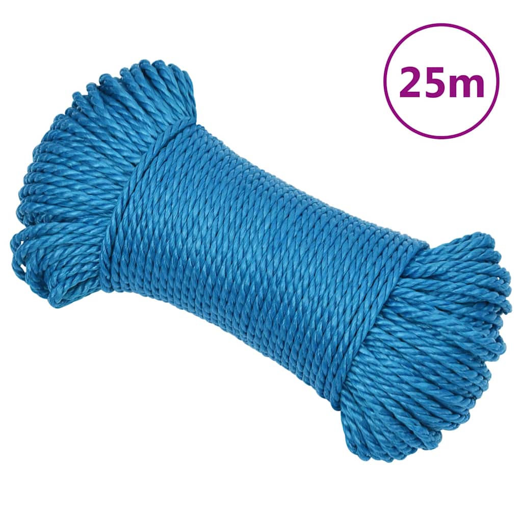 Vidaxl werktouw 6 mm 25 m polypropeen blauw
