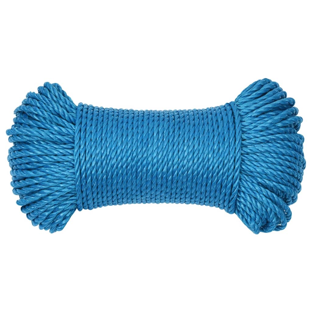 Vidaxl werktouw 6 mm 100 m polypropeen blauw