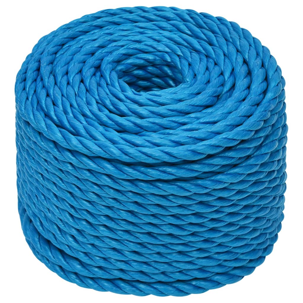 Vidaxl werktouw 10 mm 25 m polypropeen blauw