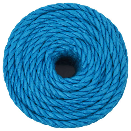 Vidaxl werktouw 10 mm 25 m polypropeen blauw
